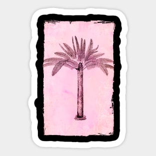 Vintage Palm Tree Sticker